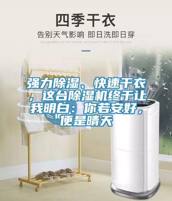強力除濕、快速幹衣，這台草莓污视频在线看終於讓我明白：你若安好，便是晴天