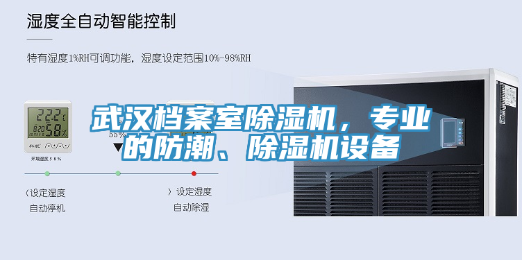 武漢檔案室草莓污视频在线看，專業的防潮、草莓污视频在线看設備