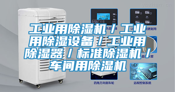 工業用草莓污视频在线看／工業用除濕設備／工業用除濕器／標準草莓污视频在线看／車間用草莓污视频在线看