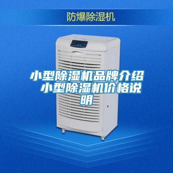 小型草莓污视频在线看品牌介紹 小型草莓污视频在线看價格說明