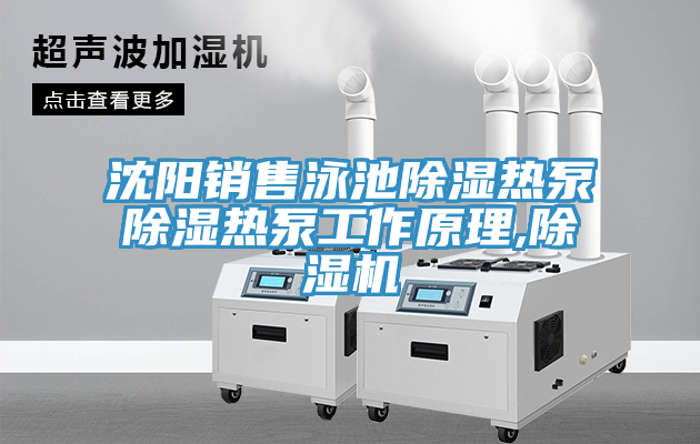 沈陽銷售泳池除濕熱泵除濕熱泵工作原理,草莓污视频在线看