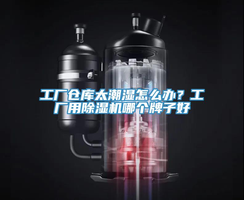 工廠倉庫太潮濕怎麽辦？工廠用草莓污视频在线看哪個牌子好