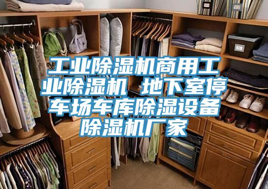 工業草莓污视频在线看商用工業草莓污视频在线看 地下室停車場車庫除濕設備草莓污视频在线看廠家