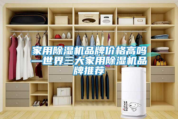 家用草莓污视频在线看品牌價格高嗎—世界三大家用草莓污视频在线看品牌推薦