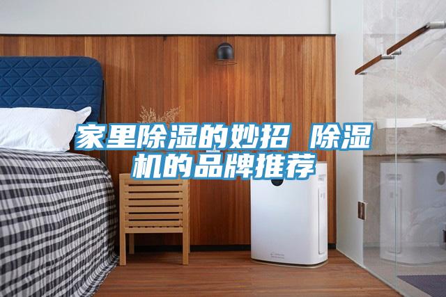 家裏除濕的妙招 草莓污视频在线看的品牌推薦
