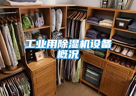 工業用草莓污视频在线看設備概況