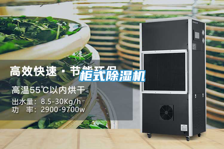 櫃式草莓污视频在线看