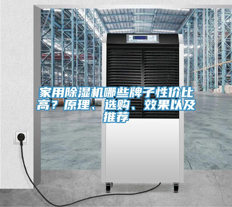 家用草莓污视频在线看哪些牌子性價比高？原理、選購、效果以及推薦