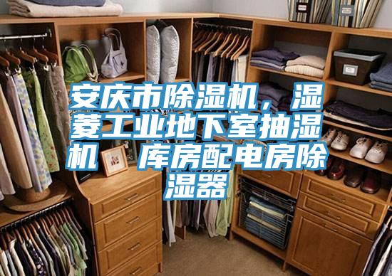 安慶市草莓污视频在线看，濕菱工業地下室抽濕機  庫房配電房除濕器