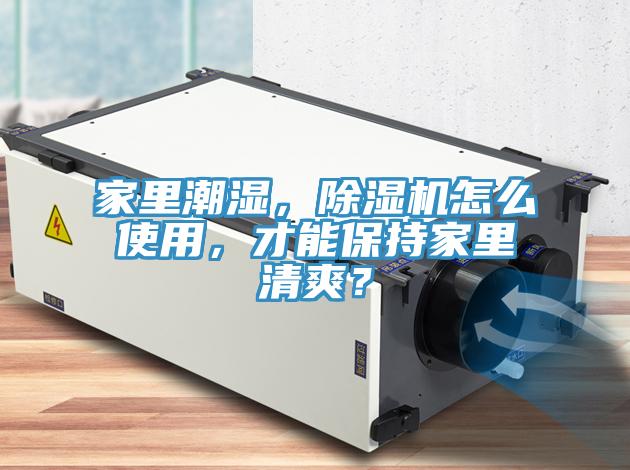 家裏潮濕，草莓污视频在线看怎麽使用，才能保持家裏清爽？