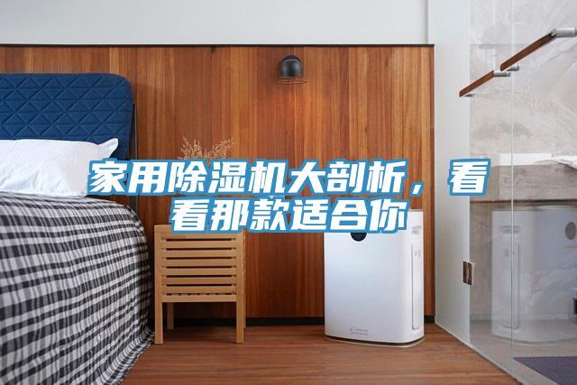 家用草莓污视频在线看大剖析，看看那款適合你