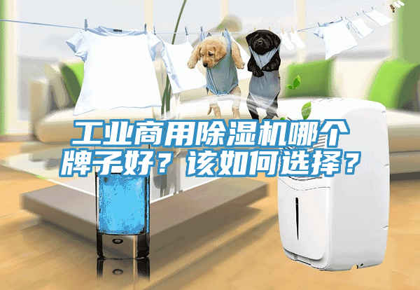 工業商用草莓污视频在线看哪個牌子好？該如何選擇？