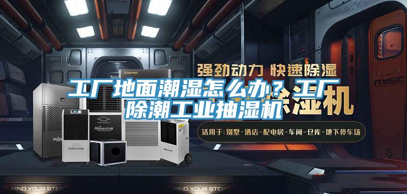 工廠地麵潮濕怎麽辦？工廠除潮工業抽濕機