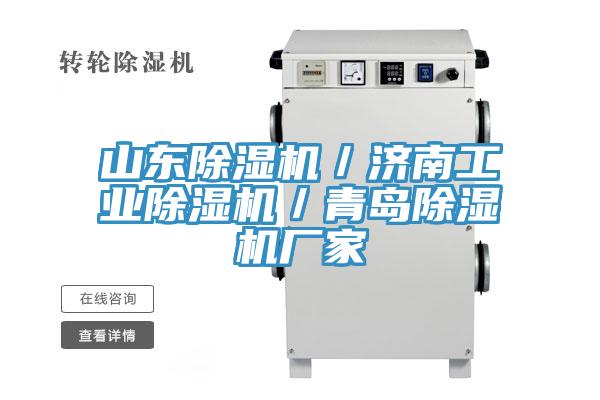 山東草莓污视频在线看／濟南工業草莓污视频在线看／青島草莓污视频在线看廠家