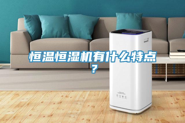 恒溫恒濕機有什麽特點？
