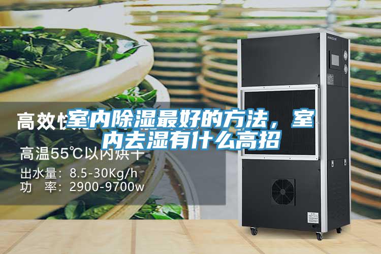 室內除濕最好的方法，室內去濕有什麽高招