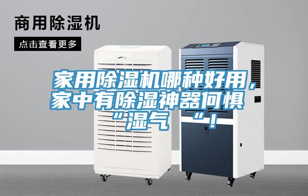 家用草莓污视频在线看哪種好用，家中有除濕神器何懼 “濕氣 “！