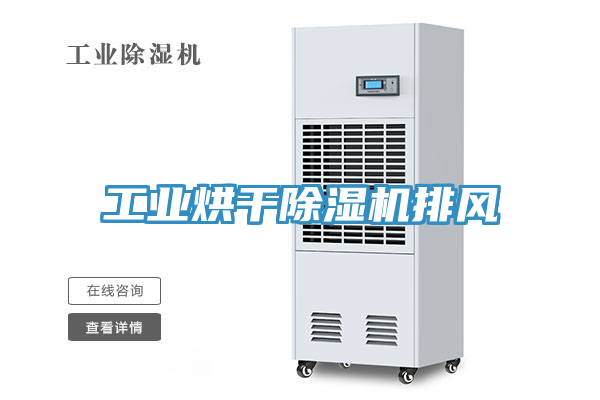 工業烘幹草莓污视频在线看排風