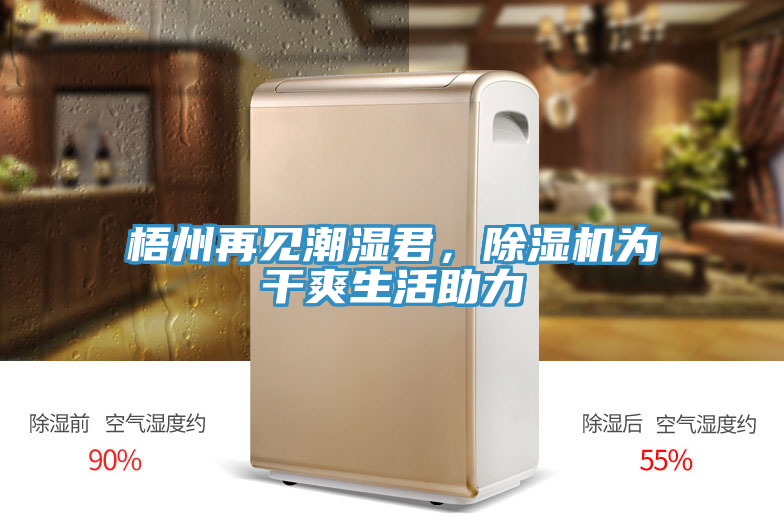 梧州再見潮濕君，草莓污视频在线看為幹爽生活助力