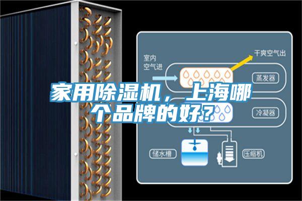 家用草莓污视频在线看，上海哪個品牌的好？