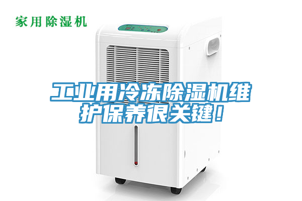 工業用冷凍草莓污视频在线看維護保養很關鍵！