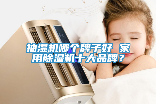 抽濕機哪個牌子好 家用草莓污视频在线看十大品牌？