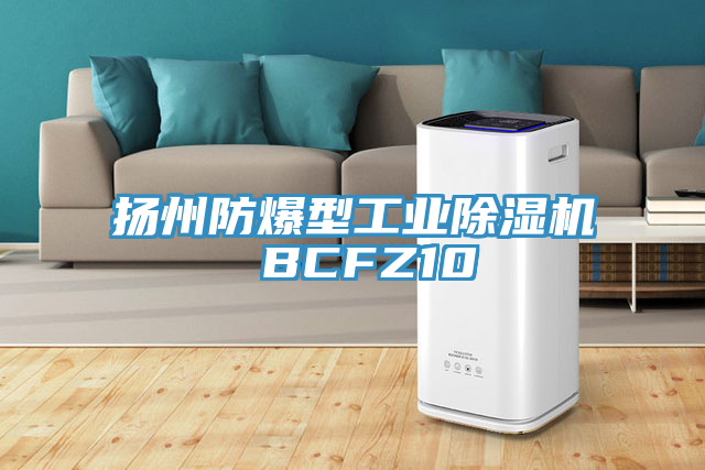 揚州防爆型工業草莓污视频在线看 BCFZ10
