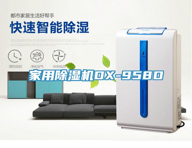 家用草莓污视频在线看DX-958D