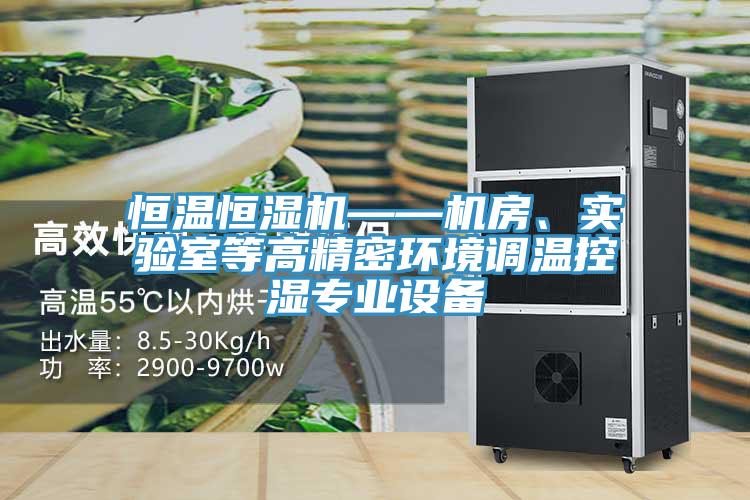 恒溫恒濕機——機房、實驗室等高精密環境調溫控濕專業設備
