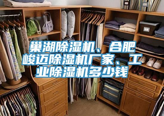 巢湖草莓污视频在线看、合肥峻邁草莓污视频在线看廠家、工業草莓污视频在线看多少錢