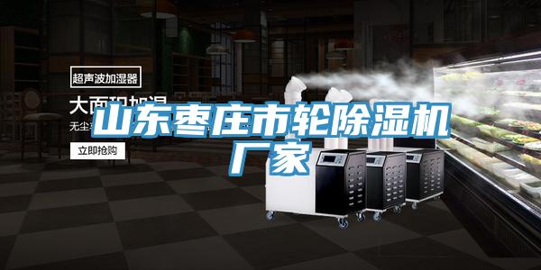 山東棗莊市輪草莓污视频在线看廠家