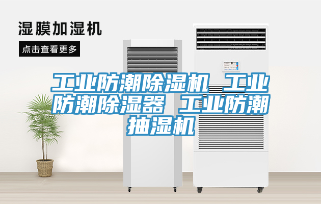 工業防潮草莓污视频在线看 工業防潮除濕器 工業防潮抽濕機