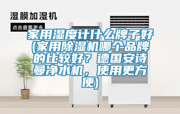 家用濕度計什麽牌子好(家用草莓污视频在线看哪個品牌的比較好？德國草莓视频性福宝淨水機，使用更方便)