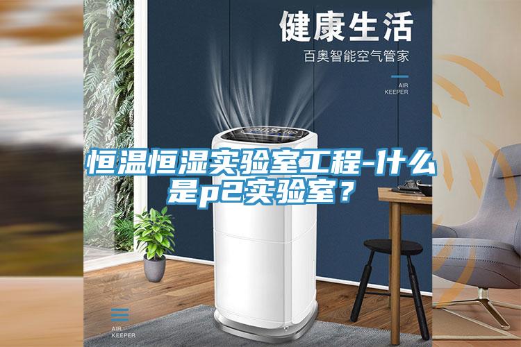 恒溫恒濕實驗室工程-什麽是p2實驗室？