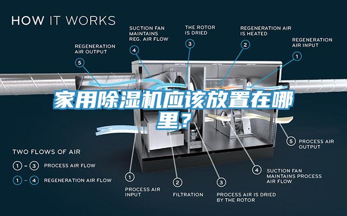 家用草莓污视频在线看應該放置在哪裏？