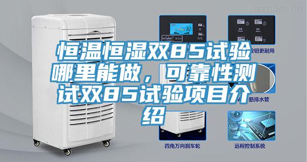 恒溫恒濕雙85試驗哪裏能做，可靠性測試雙85試驗項目介紹