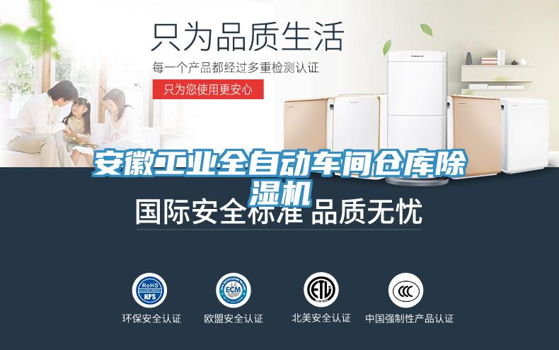 安徽工業全自動車間倉庫草莓污视频在线看