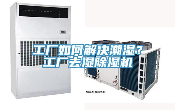 工廠如何解決潮濕？工廠去濕草莓污视频在线看
