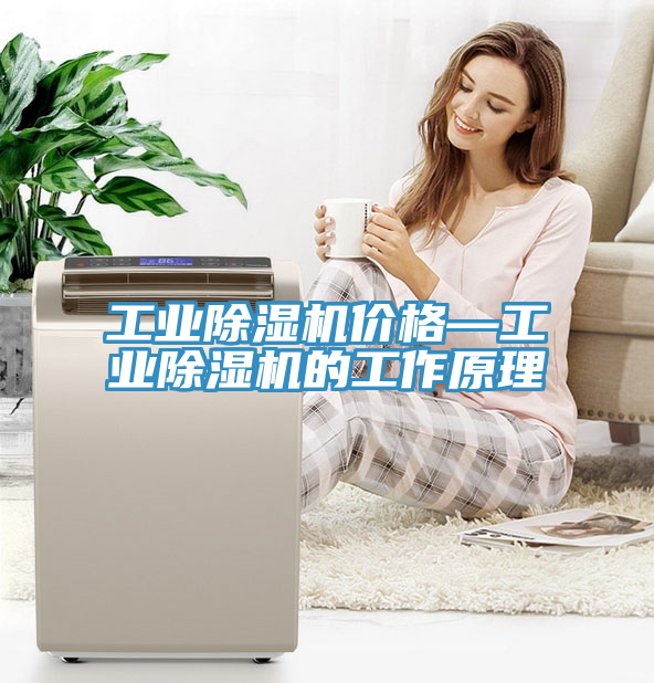 工業草莓污视频在线看價格—工業草莓污视频在线看的工作原理