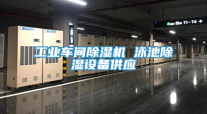 工業車間草莓污视频在线看 泳池除濕設備供應