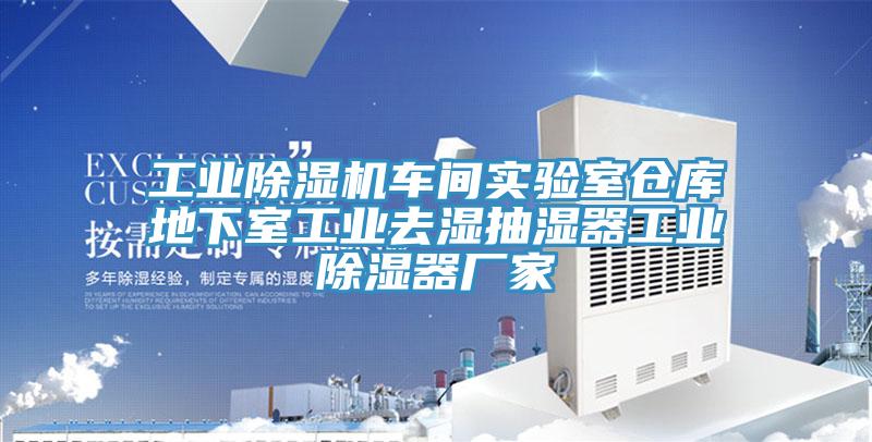 工業草莓污视频在线看車間實驗室倉庫地下室工業去濕抽濕器工業除濕器廠家