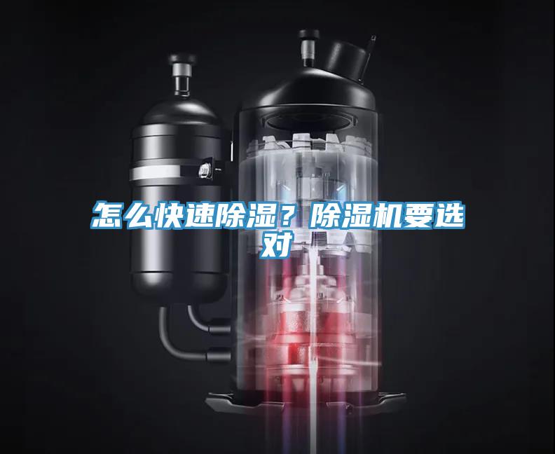 怎麽快速除濕？草莓污视频在线看要選對