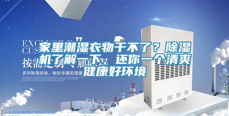 家裏潮濕衣物幹不了？草莓污视频在线看了解一下，還你一個清爽健康好環境