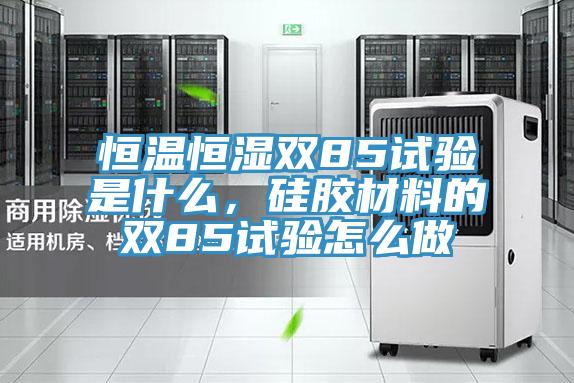 恒溫恒濕雙85試驗是什麽，矽膠材料的雙85試驗怎麽做