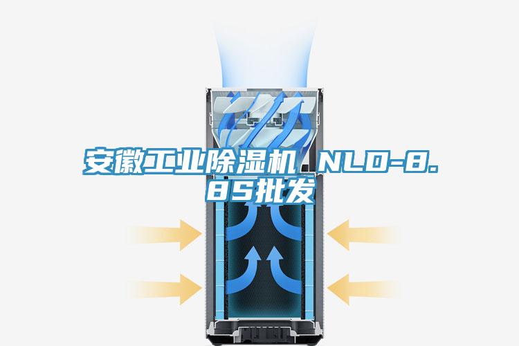 安徽工業草莓污视频在线看 NLD-8.8S批發