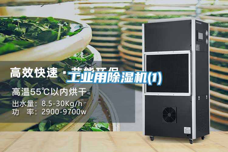 工業用草莓污视频在线看(1)