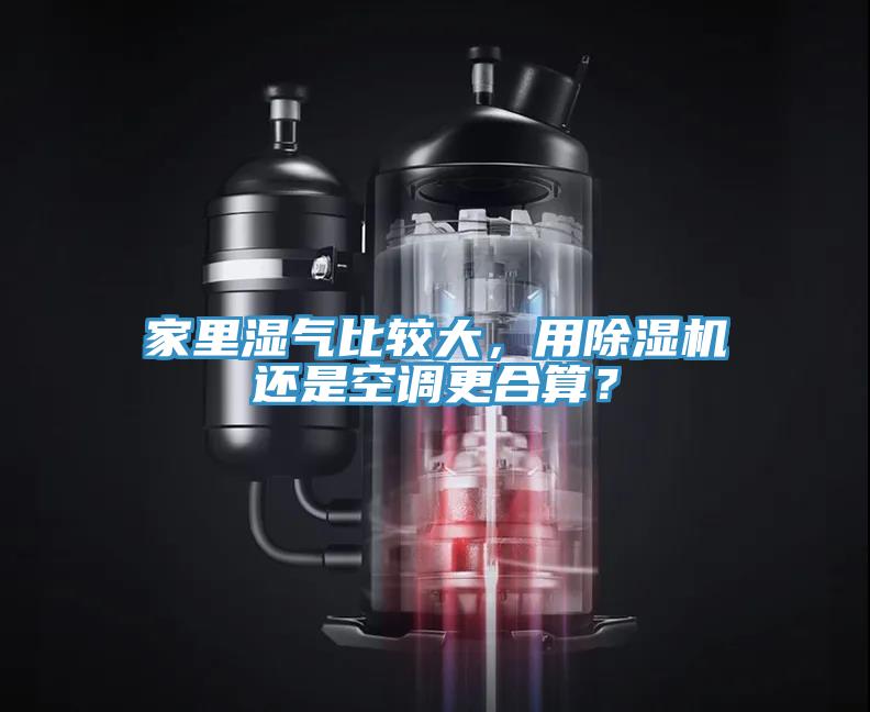 家裏濕氣比較大，用草莓污视频在线看還是空調更合算？