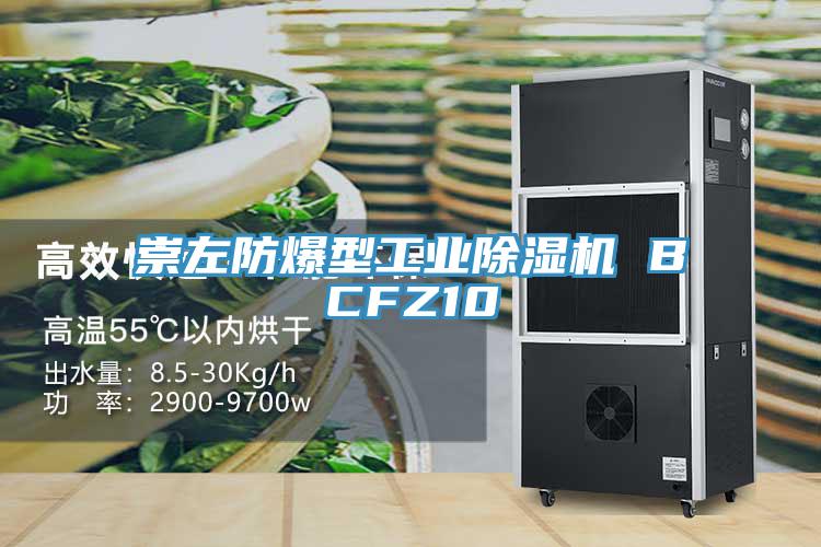 崇左防爆型工業草莓污视频在线看 BCFZ10