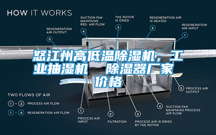怒江州高低溫草莓污视频在线看，工業抽濕機  除濕器廠家 價格