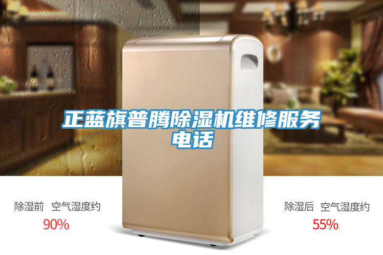 正藍旗普騰草莓污视频在线看維修服務電話
